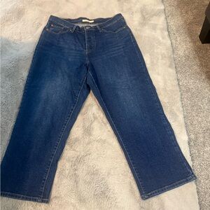 Levi's Women's Plus Size Wedgie Straight Jeans